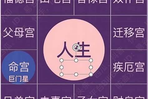 八字 命主 意思|八字命理研究